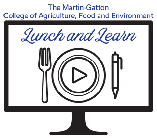 the logo for the lunch and learn series