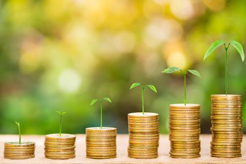 PHOTO: Thinkstock.com. Tree growing on one dollar coins arranges as a graph on wood table with natural bokeh background